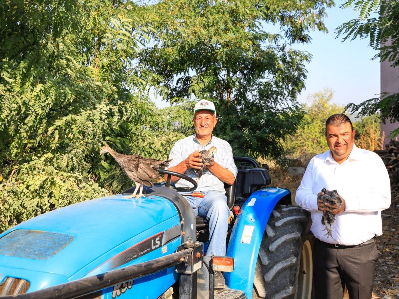 Hindi belediyeden üretip kazanmak çiftçiden