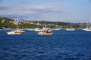Başkan Yetişkin’den Teos Yat Limanı projesine sert tepki: "Bu bir marina değil, can güvenliği meselesidir”