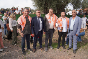 Orhanlı Köyü 2. Zeytin Hasadı Festivali coşkuyla başladı