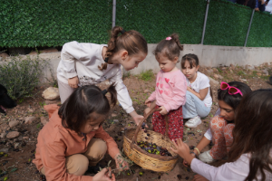 Orhanlı Köyü 2. Zeytin Hasadı Festivali coşkuyla başladı