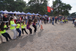 Orhanlı Köyü 2. Zeytin Hasadı Festivali coşkuyla başladı
