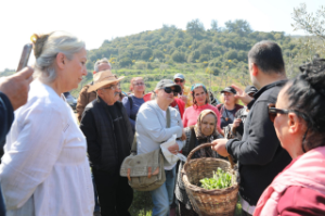 Seferihisar’da bahar "Ege Otlarıyla” karşılandı