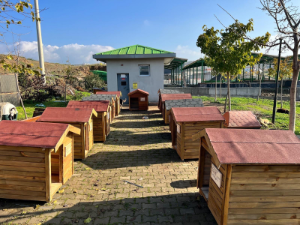 Seferihisar’da "Can Dostlar” için kulübe destek kampanyası