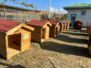 Seferihisar’da "Can Dostlar” için kulübe destek kampanyası