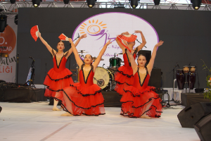 Turuncu Altına 25. Festival