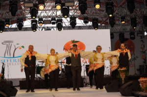 Turuncu Altına 25. Festival