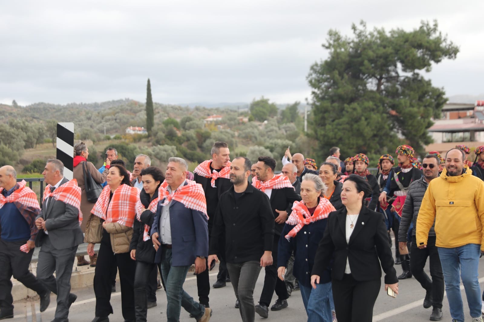 Zeytin Hasadı ilk kez festival olarak kutlandı